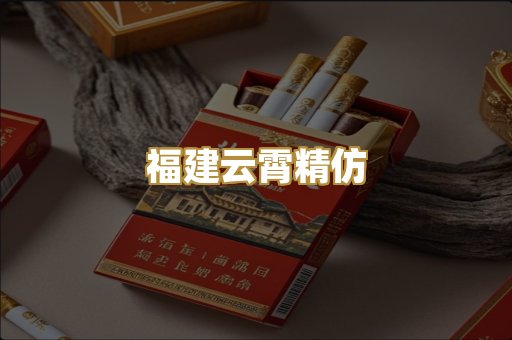 福建云霄精仿